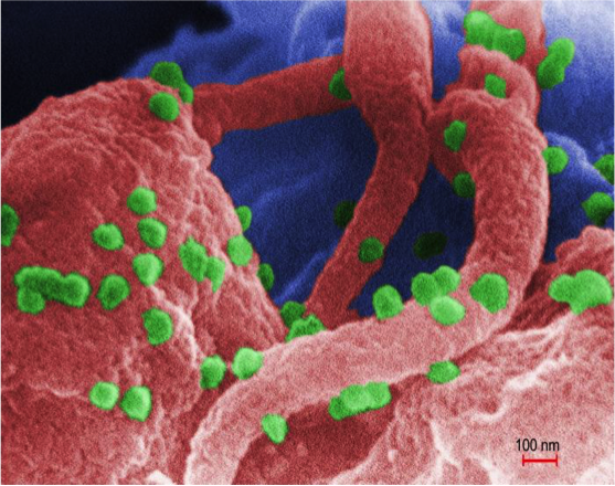 How Microorganisms Cause Disease